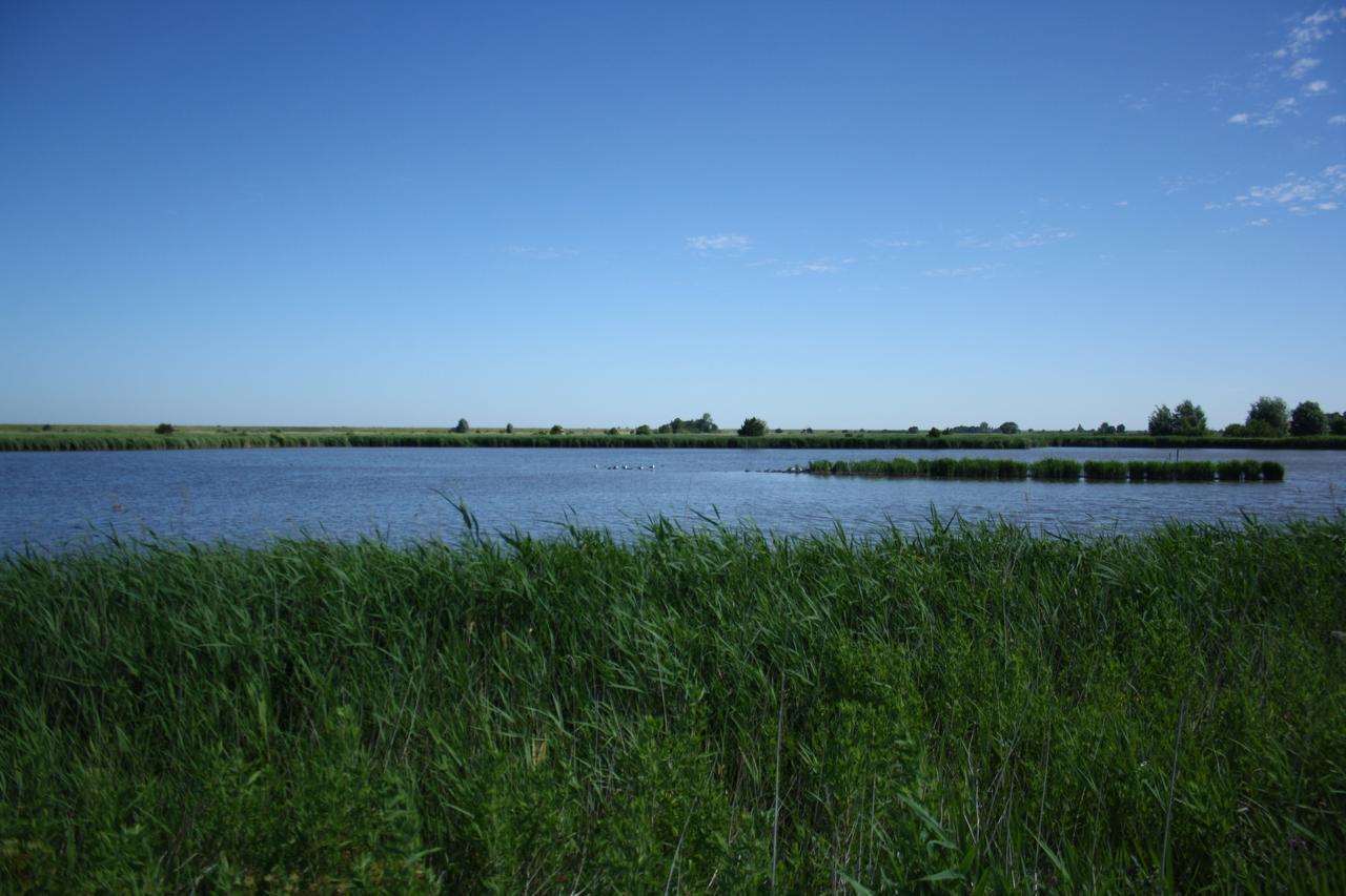 Gulfhof Greetsiel Apartment Екстериор снимка